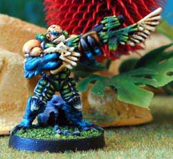 Arakton mit Splinter Rifle