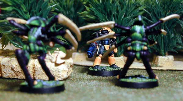 Skorpionaids vs Syntha